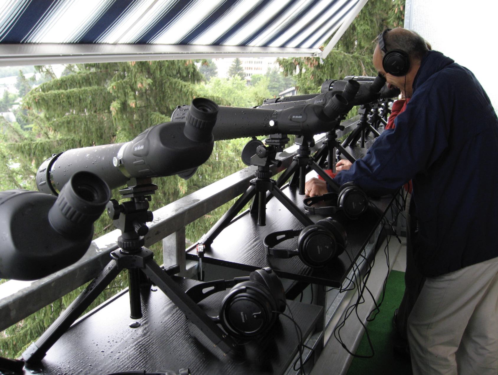 Point de vue - Philippe Quesne