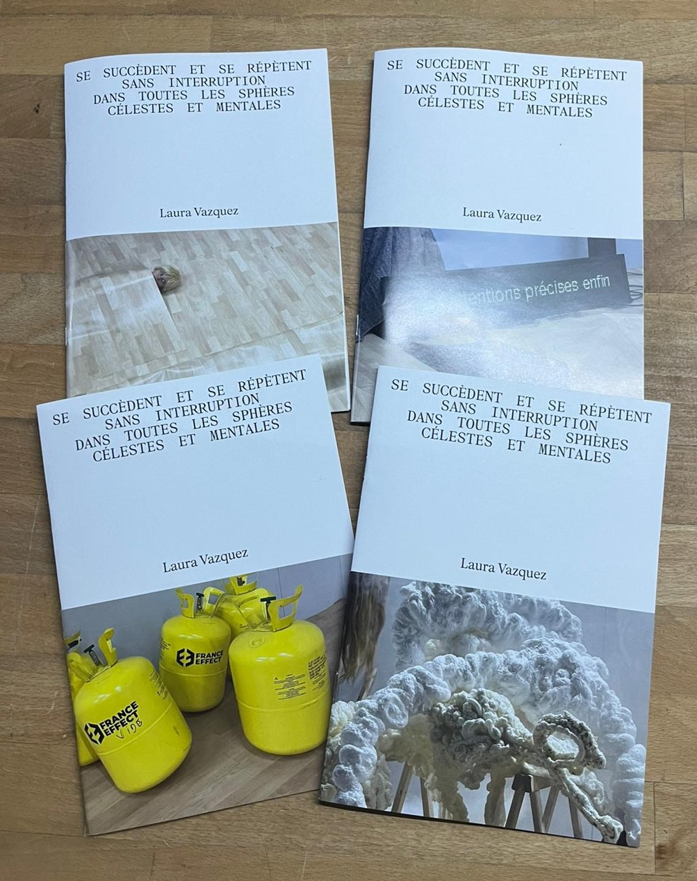 SE SUCCEDENT ET SE RÉPÈTENT SANS INTERRUPTION DANS TOUTES LES SPHÈRES CÉLESTES ET MENTALES - Philippe Quesne